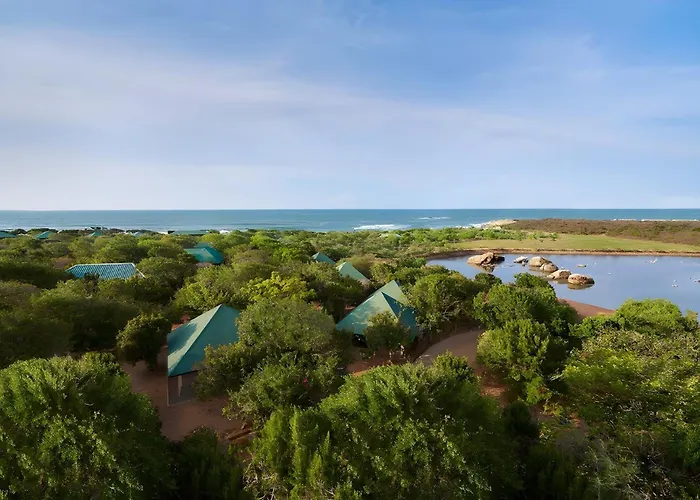 Cinnamon Wild Yala
