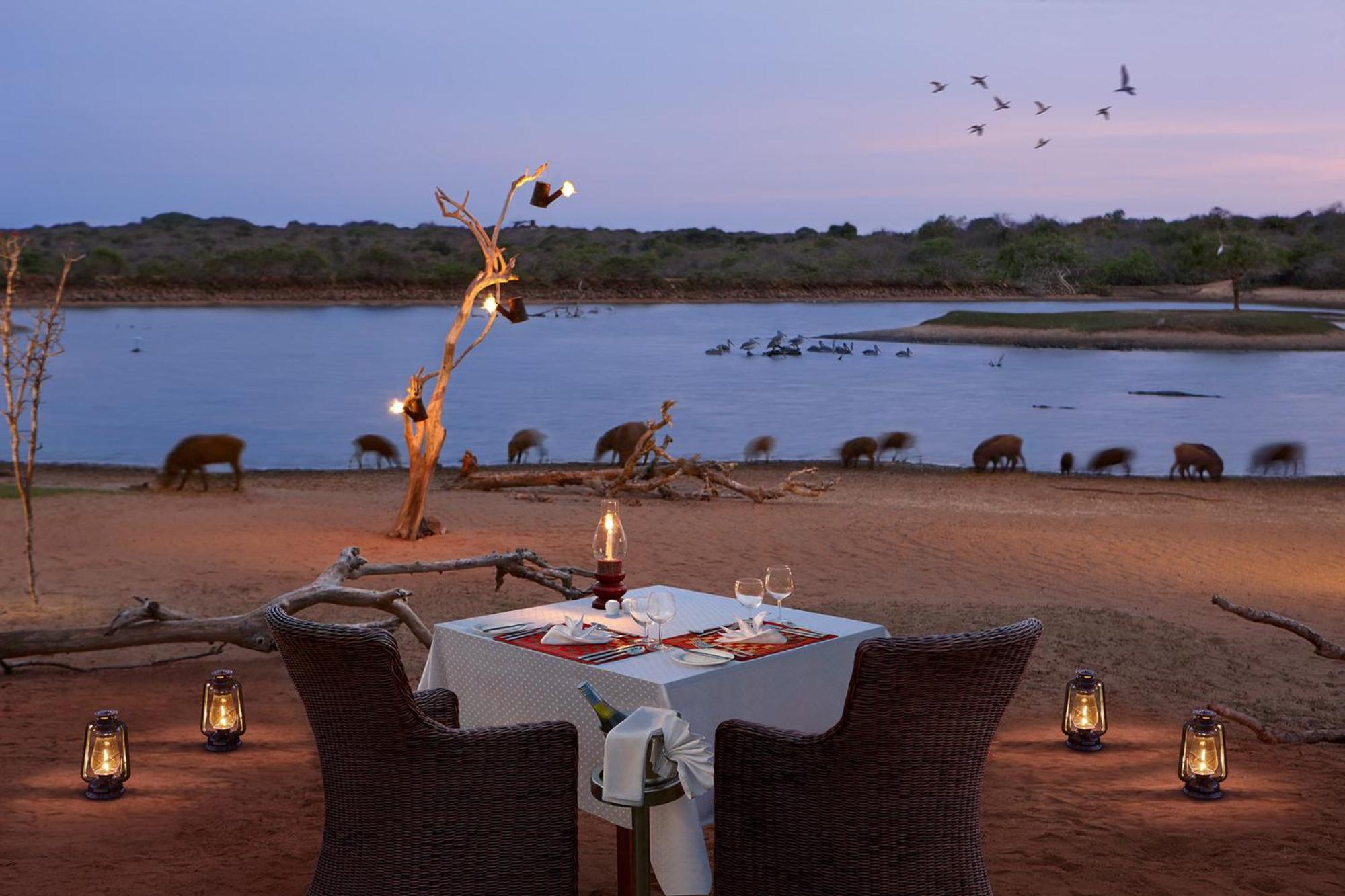 Cinnamon Wild Resort Yala