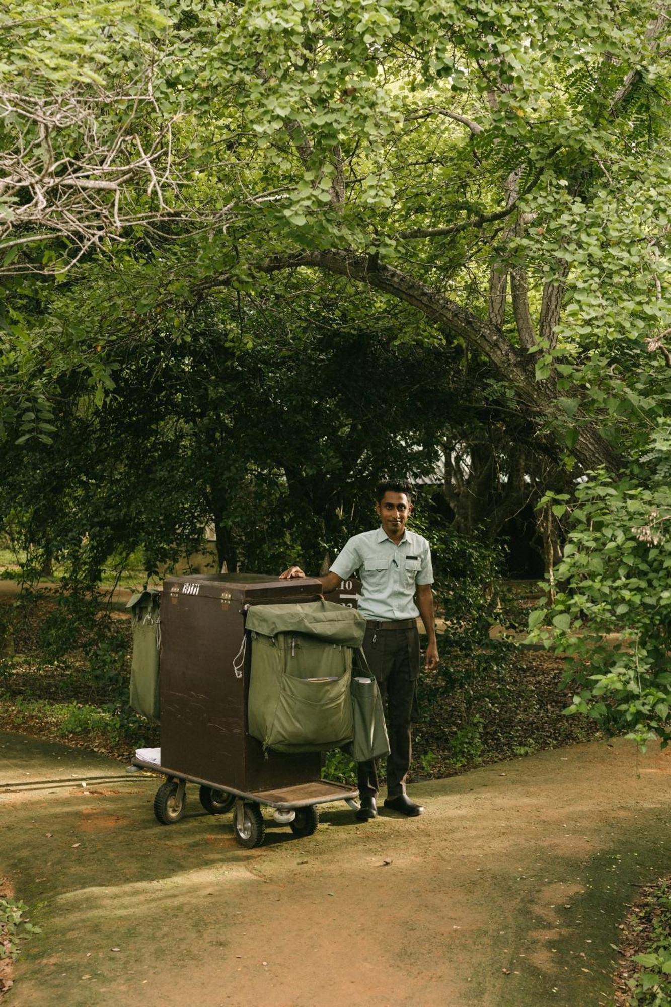 Cinnamon Wild Resort Yala