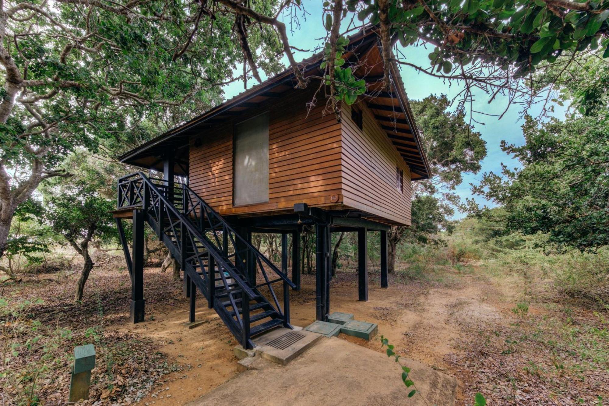 Resort Cinnamon Wild 5*