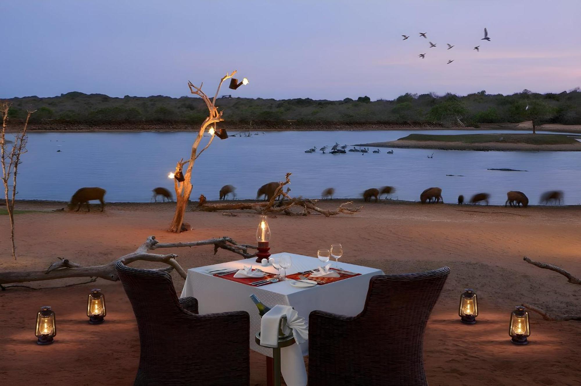Resort Cinnamon Wild