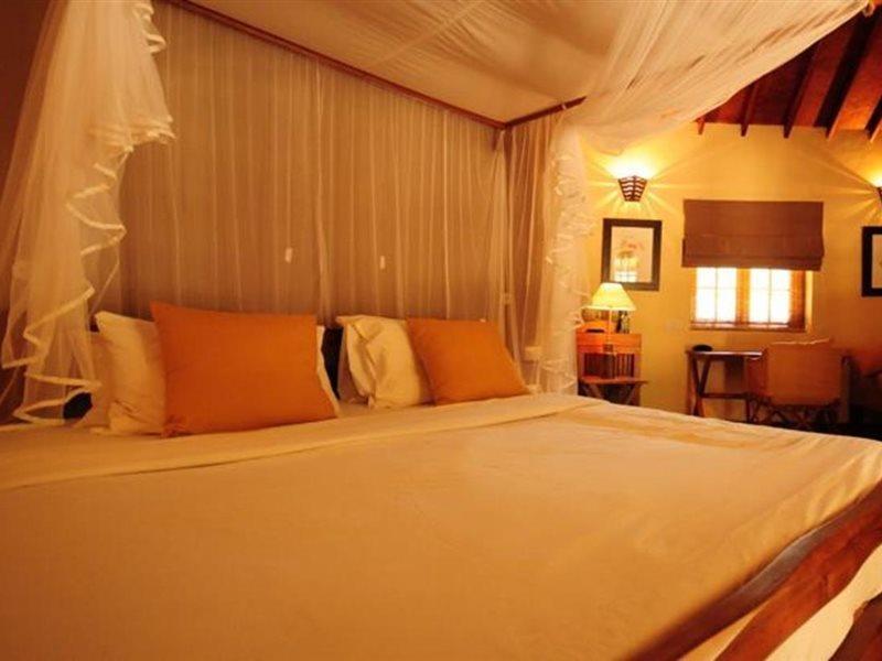 Cinnamon Wild Yala