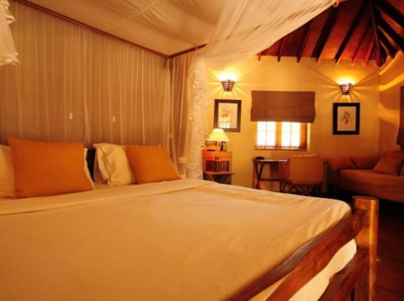 Cinnamon Wild 5*