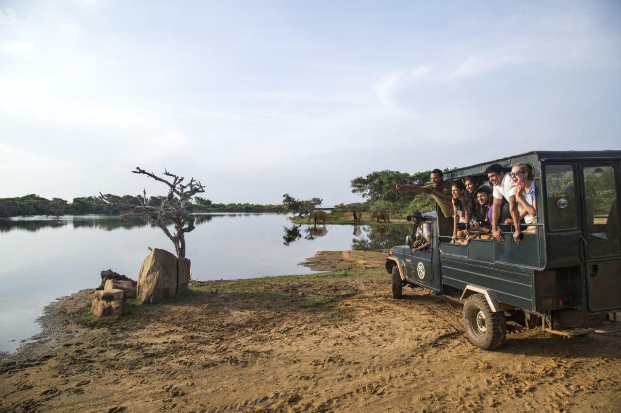 Cinnamon Wild Resort Yala
